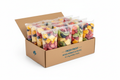Carton de 10 sachets de fruits surgelés mélangés 1kg