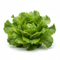 Salade verte fraîche laitue